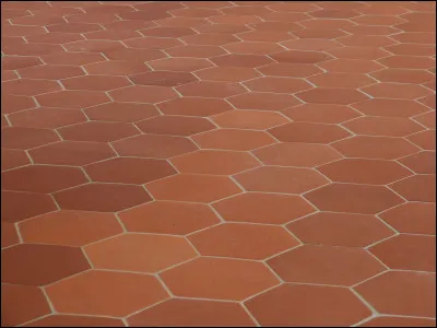 Quel est le nom des carreaux en argile ocre et rouge qui constitue un revêtement de sol typique de certaines habitations ?