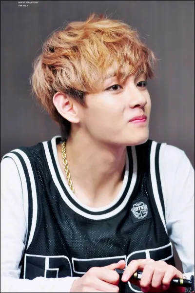 En quelle année a-t-il rejoint BTS ?