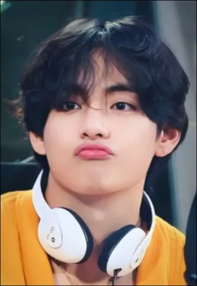 Dans quelle ville est-il né ?