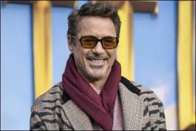 Quel super-héros de l'univers Marvel l'acteur Robert Downey Jr. incarne-t-il dans plusieurs films ?