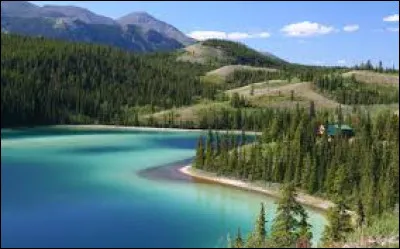 Le Yukon, fleuve long de 3 185 km n'est traversé que par quatre ponts : quel est le pays ou les pays drainé(s) par ce cours d'eau ?