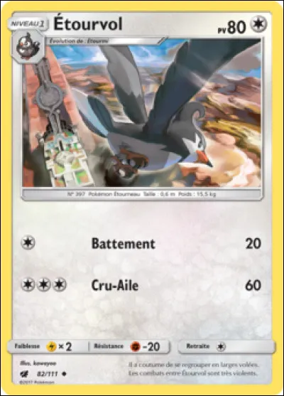 Qu'y a-t-il sur cette image ?