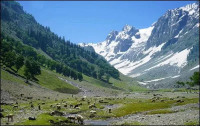 De quel groupe britannique est la chanson Kashmir sortie en 1975 ?