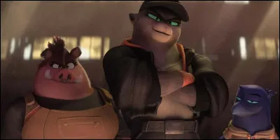 Quelles sont les sucettes préférées de Mistigri ?