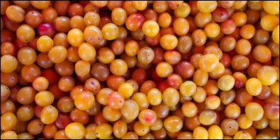 De quelle région les mirabelles sont-elles la spécialité ?