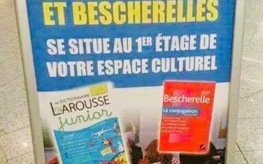 Quiz Vocabulaire