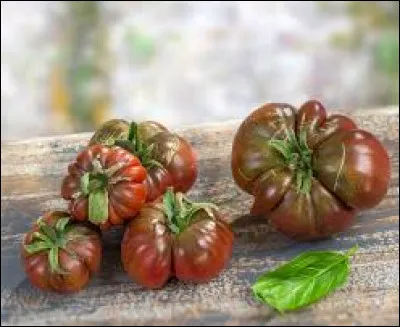 Ces tomates sont des "coeur de boeuf".