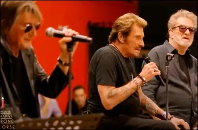 Quel est le nom du trio qui a r&eacute;uni lui-m&ecirc;me, Eddy Mitchell et Johnny Hallyday ?