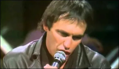 Qui est ce chanteur, auteur du titre ''Johnny Pervenche'' ?