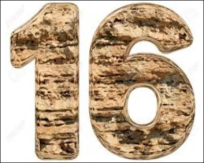 SEIZE - Combien de diviseurs possède le nombre 16 ?