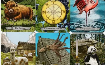 Quiz Animaux