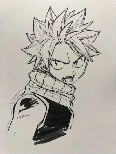 Quelle est la couleur de cheveux de Natsu ?