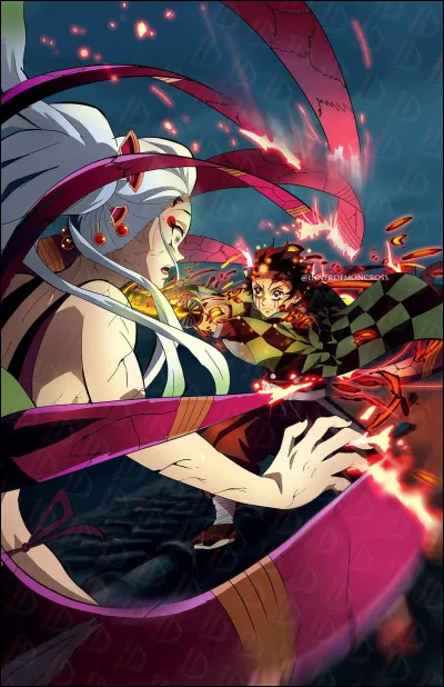 Quel serait ton type de combat ?