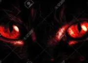 Quiz Quiz LGDC : Quelle est la couleur des yeux de ce chat ?