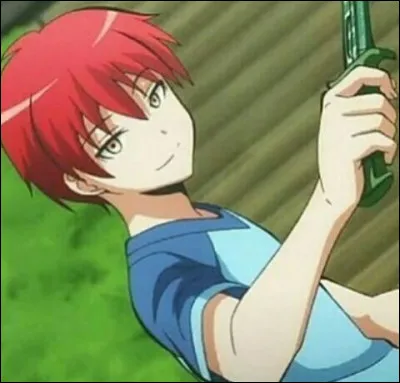 Veux-tu que ce soit en rapport avec un manga ?