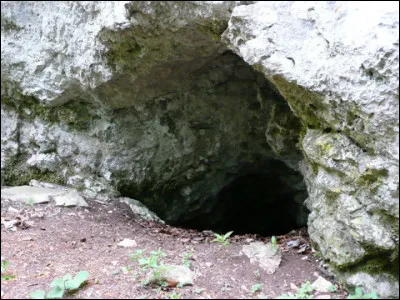 Tu pr&eacute;f&egrave;res une tani&egrave;re faite avec...