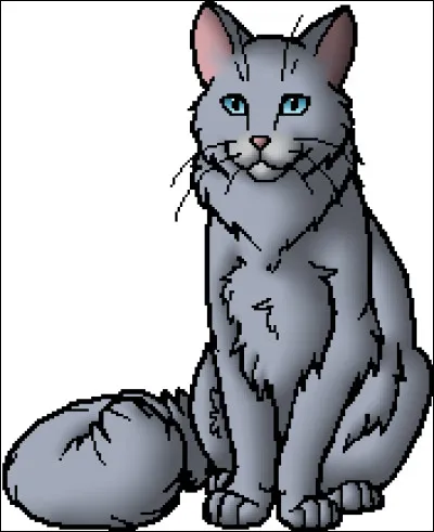 Aimes-tu &Eacute;toile de Brume ?