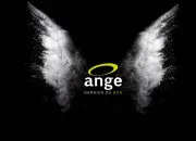 Quiz Ange