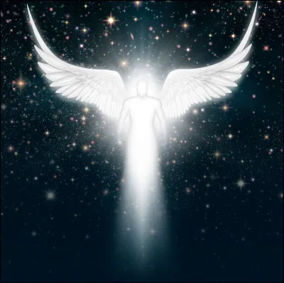 Qui était surnommé ''L'Ange Blanc'' ?