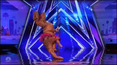 Qu'est-ce qui ne peut pas être désigné par le terme "Sexy Rexy" ?