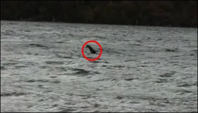 Je suis sûr que vous avez une envie monstre de découvrir cette capitale !