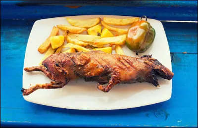 Chez nous c'est un animal domestique, chez eux il termine dans une assiette !