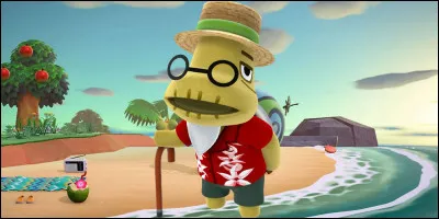 Et cette vieille tortue est...