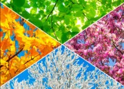 Test Quelle saison te reprsente le mieux ?