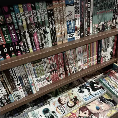 Les mangas se lisent :