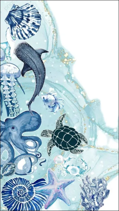 L'océan est rempli de merveilles !
