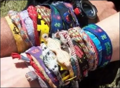 Vos amies insistent pour que vous veniez avec elles à un sombre festival de musique en Corrèze. Vous nen avez absolument aucune envie jusquà ce que vous appreniez quil y a ce groupe français mythique dans la line-up...