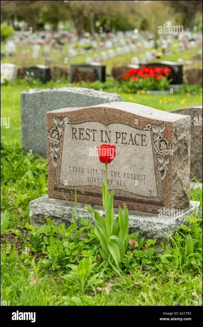 Si vous pouviez ressusciter une célébrité décédée de votre choix pour la rencontrer, qui choisiriez-vous  ?