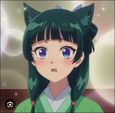 Quel âge a Mao Mao ?