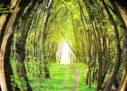 Test O en es-tu sur ton chemin intrieur ?