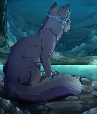 Quel est le nom de chaton dÉtoile Bleue ?