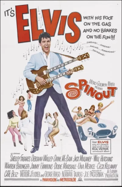 Quel est le nom d'un film qui retrace la vie d'un personnage célèbre ?