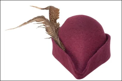 Quel est le nom d'un couvre-chef en feutre triangulaire évasé ?