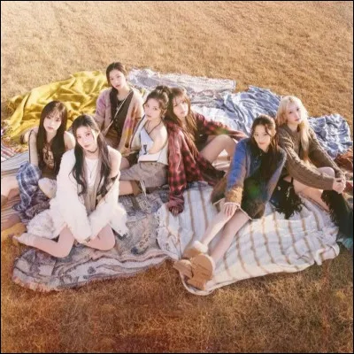 Veux-tu que l'image fasse partie d'un MV ?