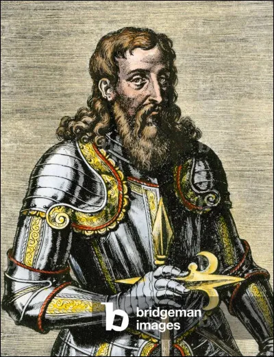 Henri le Navigateur était le nom d'un prince du Portugal.