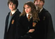 Test Quel espce es tu dans Harry Potter ?