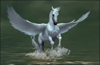 Au service de qui est-il ?