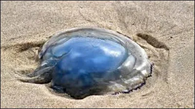 Laquelle de ces propositions d&eacute;signe une com&eacute;die d'Erik Satie ?