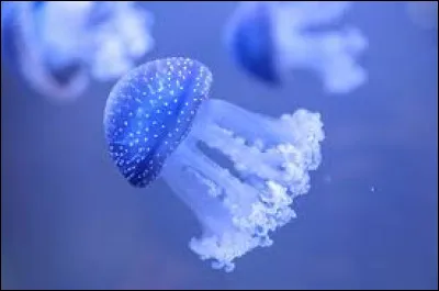 Quel &eacute;tait le titre initial du tableau "Le Radeau de la M&eacute;duse" ?