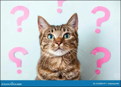 Quel est ton animal ?