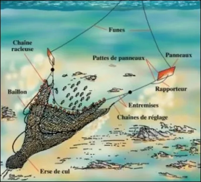 Quel est le nom d'un bateau de pêche qui drague avec un filet ?