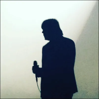 Quel chanteur est l'auteur des paroles du titre ''Les Bobos'' (Bobos pour bourgeois-bohèmes) ?