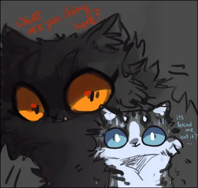 Si tu as répondu non à la première question et léopard à la huitième, quelle couleur préfères-tu ?