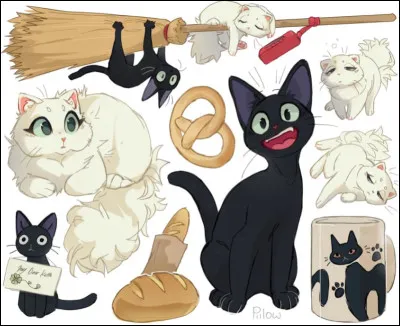 Si tu as répondu oui à la première question, et sombre à la deuxième, quelle couleur préfères-tu ?