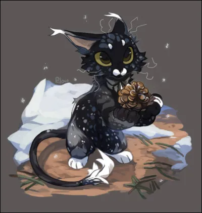 Si tu as répondu oui à la première question, et entre les deux à la deuxième, quelle couleur préfères-tu ?