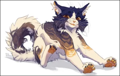 Si tu as répondu oui à la première question, et clair à la deuxième, quelle couleur préfères-tu ?